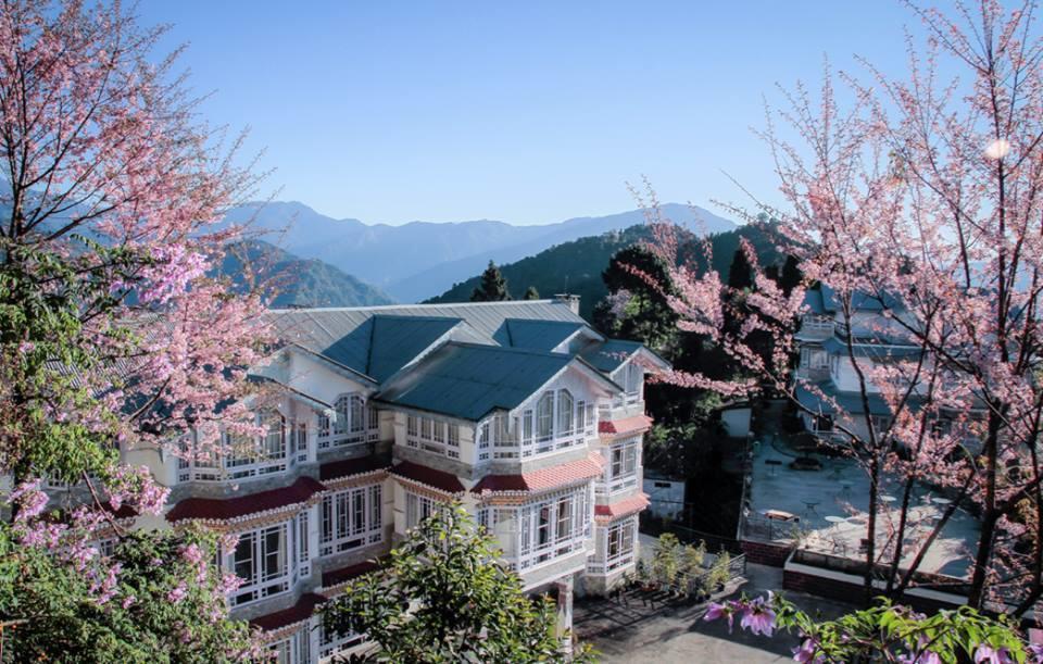 Norbu Ghangh Retreat & Spa Pemayangtse Exterior foto